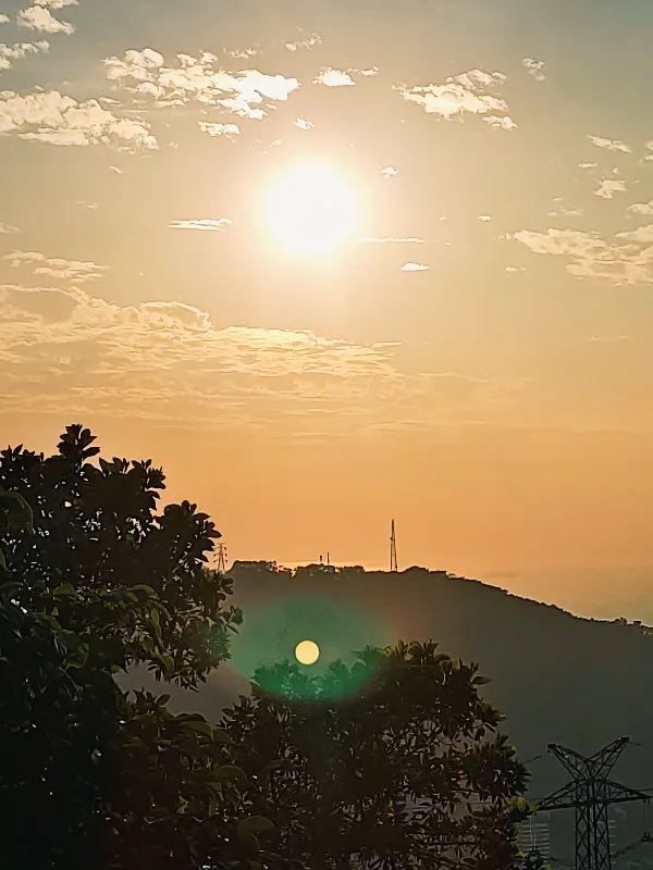 四海公園的浪漫冬日