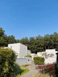 住在大自然中！Anadu新開莊園，松間小墅