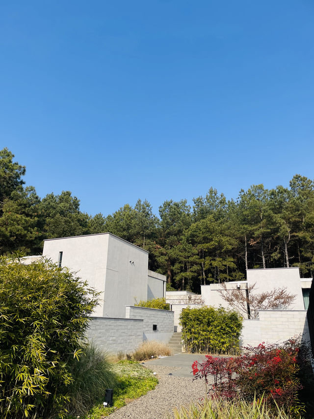 住在大自然中！Anadu新開莊園，松間小墅