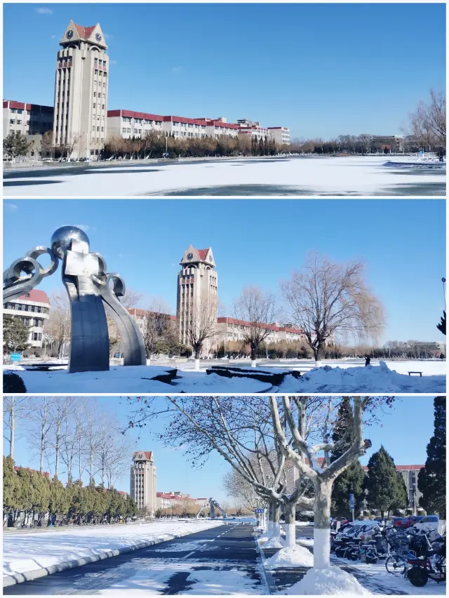 大寒節氣·冰雪校園