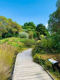 Auckland Botanic Gardens: A Scenic Escape