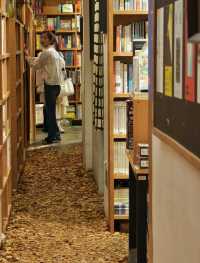 打卡先行書店 | 邂逅冬日銀杏之美