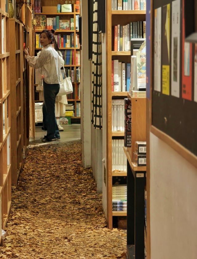 打卡先行書店 | 邂逅冬日銀杏之美