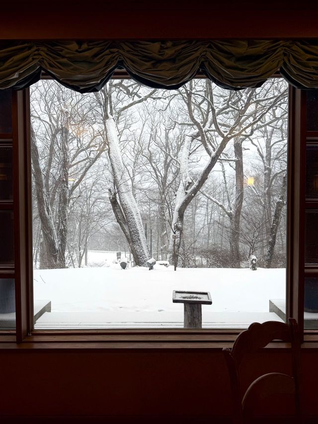 日光超chill的溫泉度假酒店看雪景食法餐