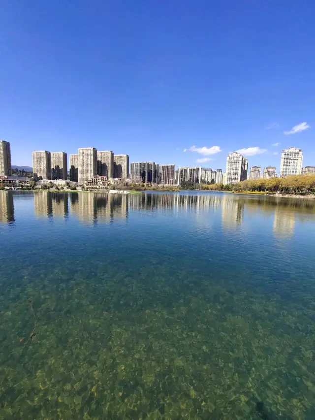 6-Day Kunming-Xishuangbanna-Puer Itinerary