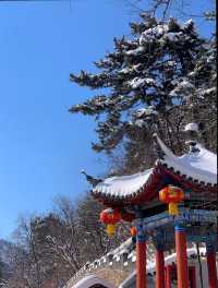 新年自駕千山祈福之旅