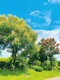 4日雲南昆明-彌勒遊 長者出行超實用攻略