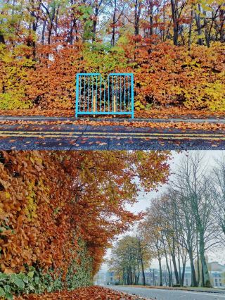 A Journey Through Time: Bradford's Blend of Past and Present