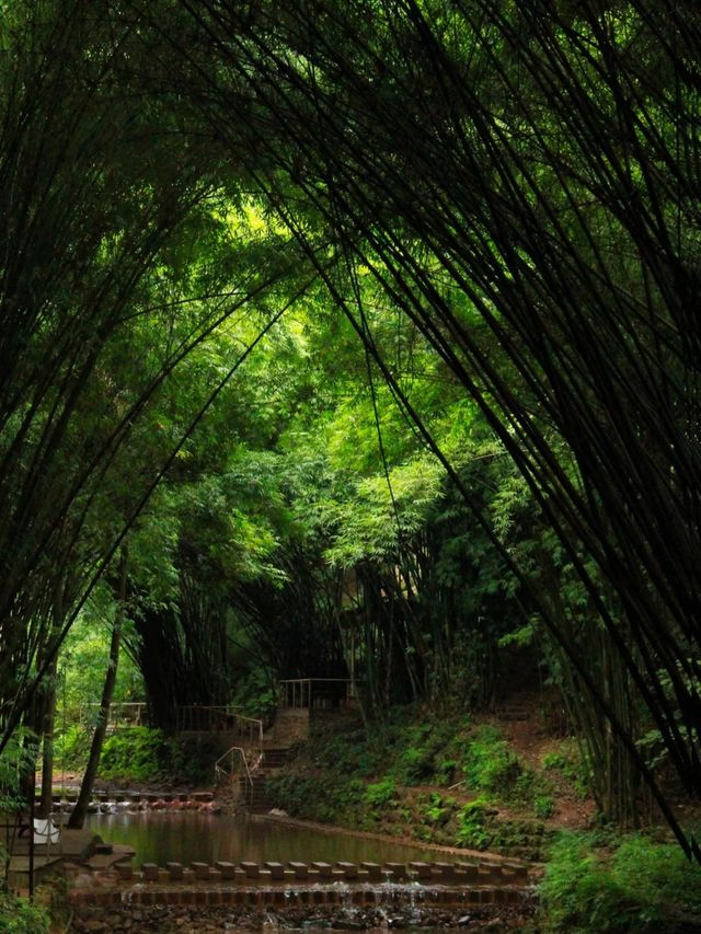 天然氧吧這些地方去一次，身心都被治癒