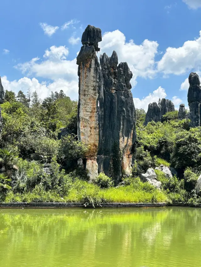 6-Day Kunming-Dali-Lijiang Itinerary: A Super Detailed Guide! Save It Now!