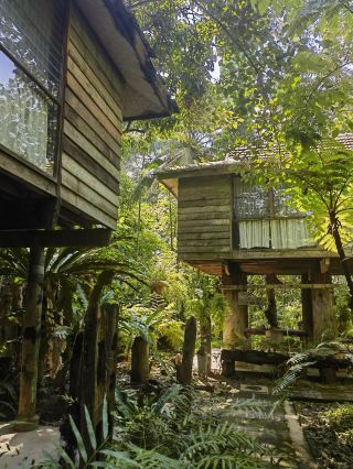 Fern Paradise Hotel: A Visual and Spiritual Feast