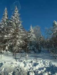 哈爾濱-雪鄉滑雪之旅一篇文章帶你食住玩樂