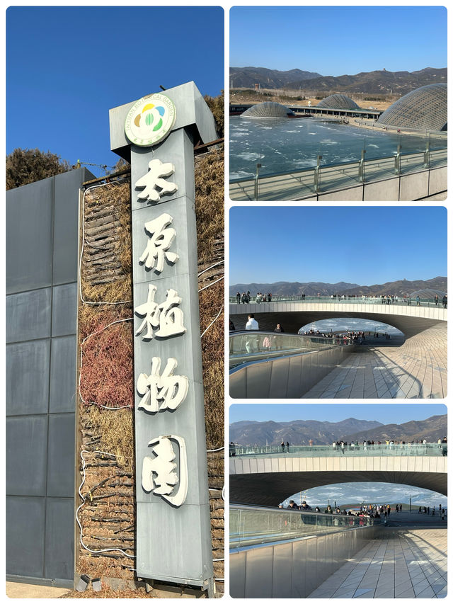 冬日裏的太原植物園