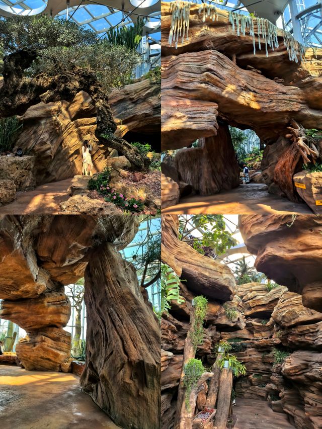 上海植物園，玻璃穹頂下的植物百科。