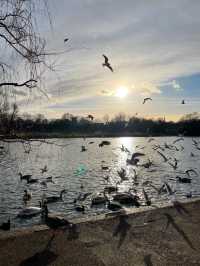 Hyde’s park London 