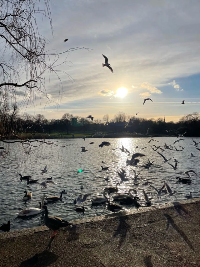 Hyde’s park London 