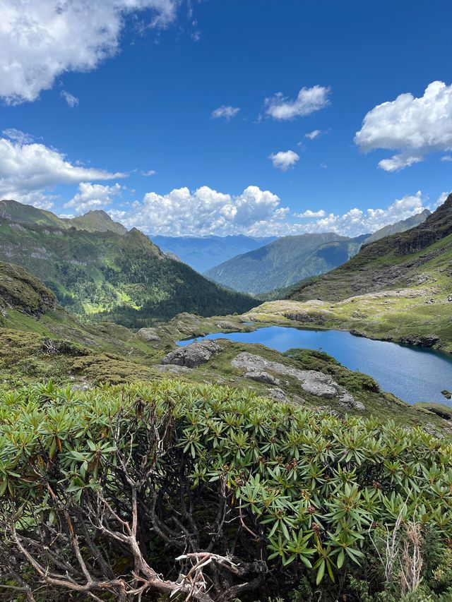 《南極洛：夏季徒步的極致浪漫，雪山與花海的完美邂逅》