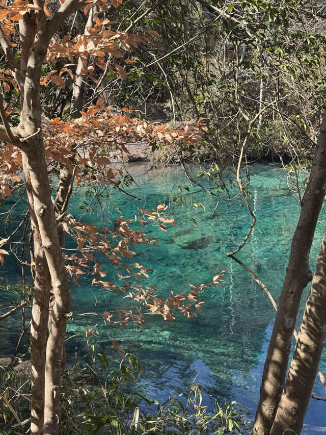 牯牛降旅遊攻略