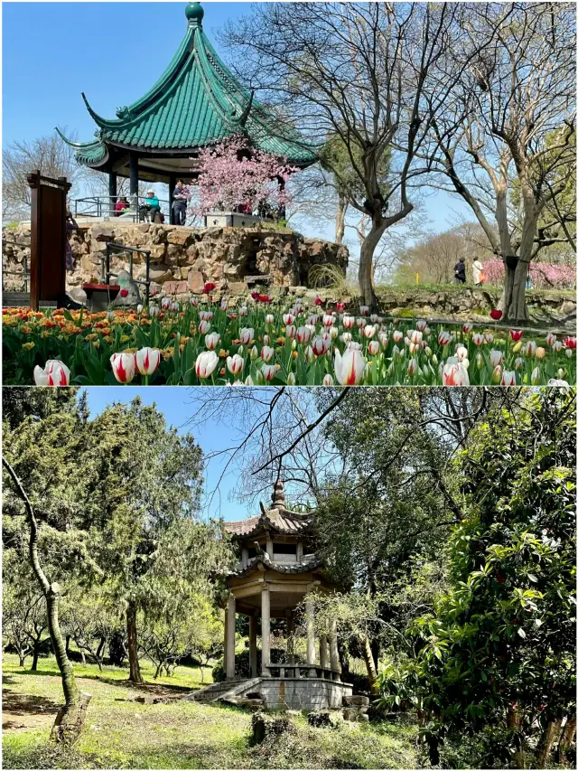 Wuxi's Top 8 Must-See Attractions | Local's Hidden Gems