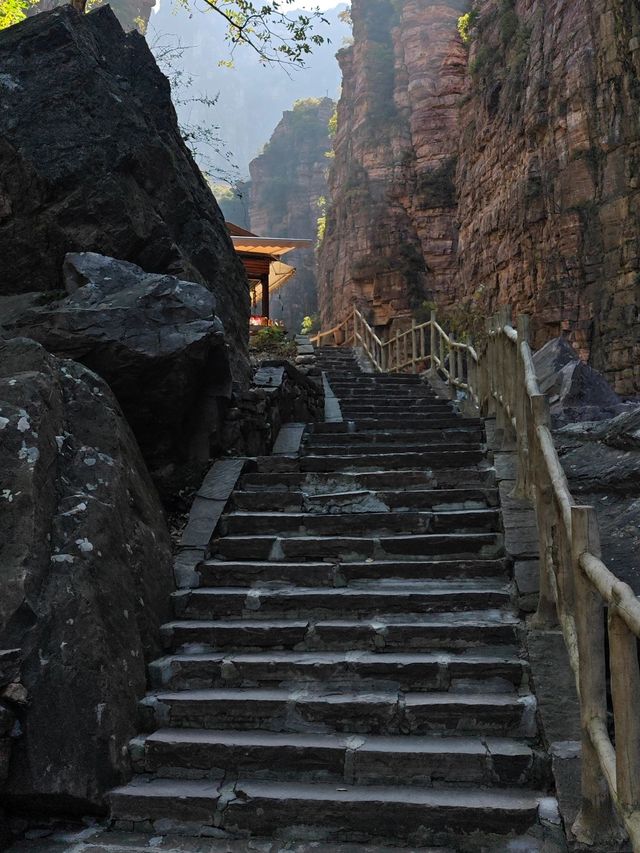 寒假出遊看這篇新鄉-洛陽-焦作旅行攻略來啦