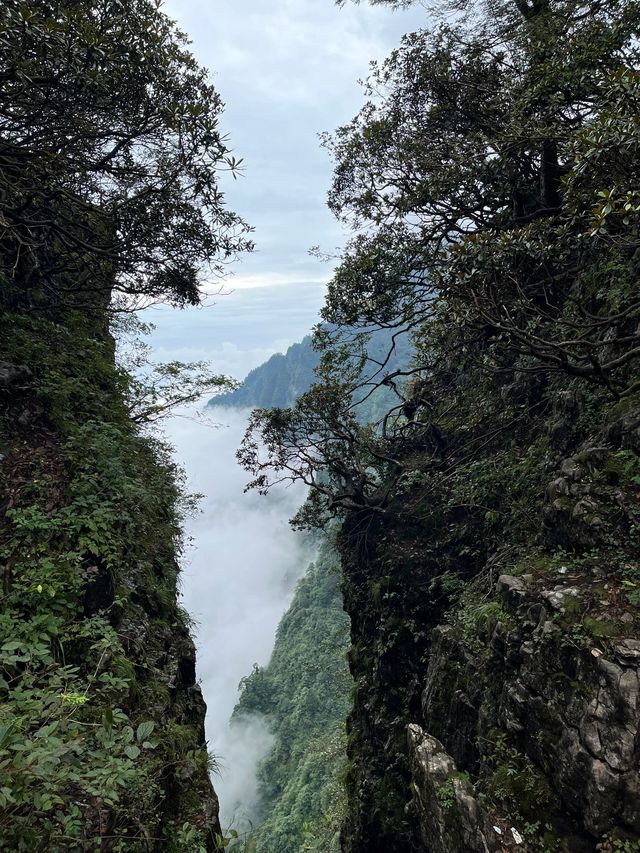 快收藏小長假10日暢遊柬埔寨等多國