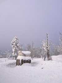 哈爾濱—雪鄉三日遊 玩轉冰雪奇景必收藏攻略