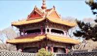 想你的風吹到了北陵公園