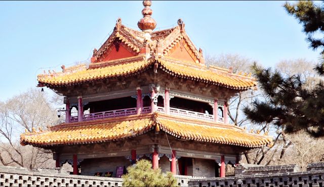 想你的風吹到了北陵公園