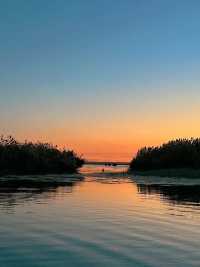 內蒙古自治區•居延海•夕陽下的蘆葦蕩