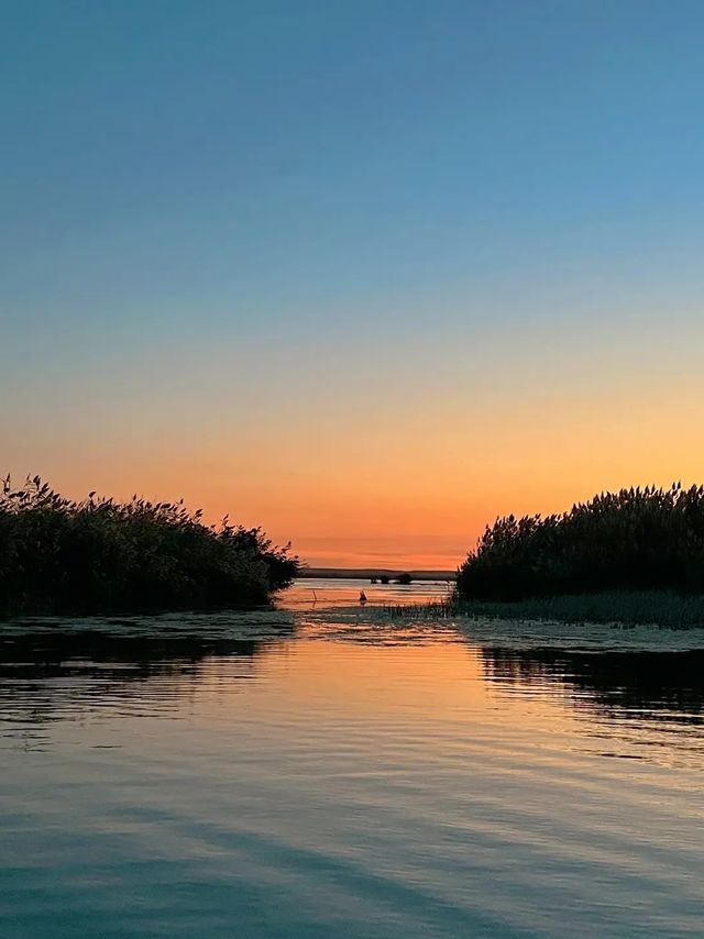 內蒙古自治區•居延海•夕陽下的蘆葦蕩