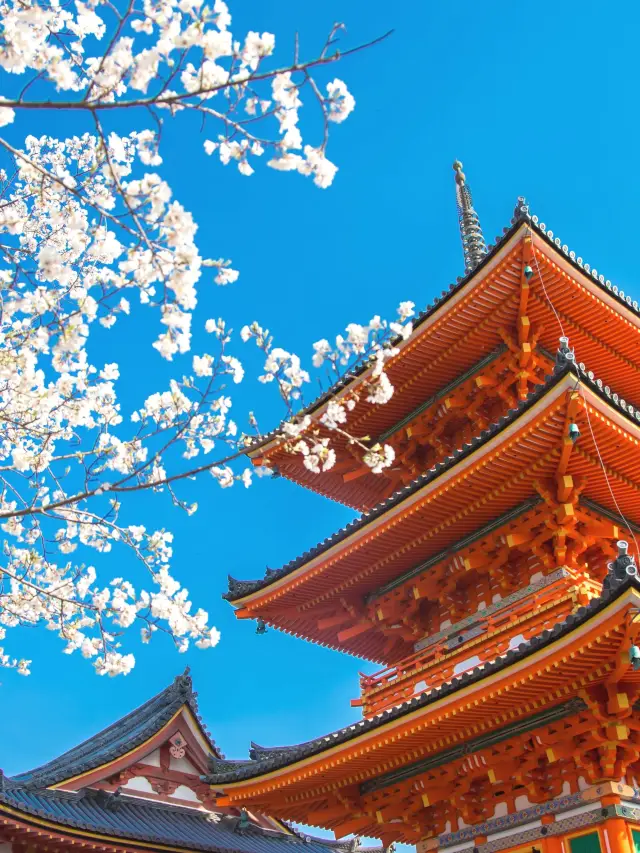 8日暢遊日本 超詳攻略助你玩轉全程