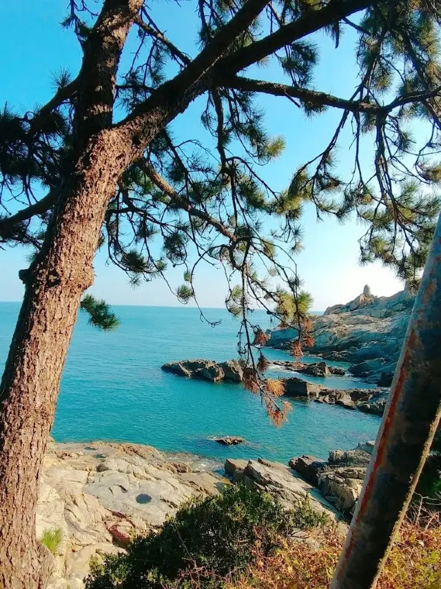 5-Day Trip to Korea: Your Foolproof Guide