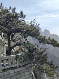 春天就要上春山 | 東嶽泰山~~省體力遊覽攻略