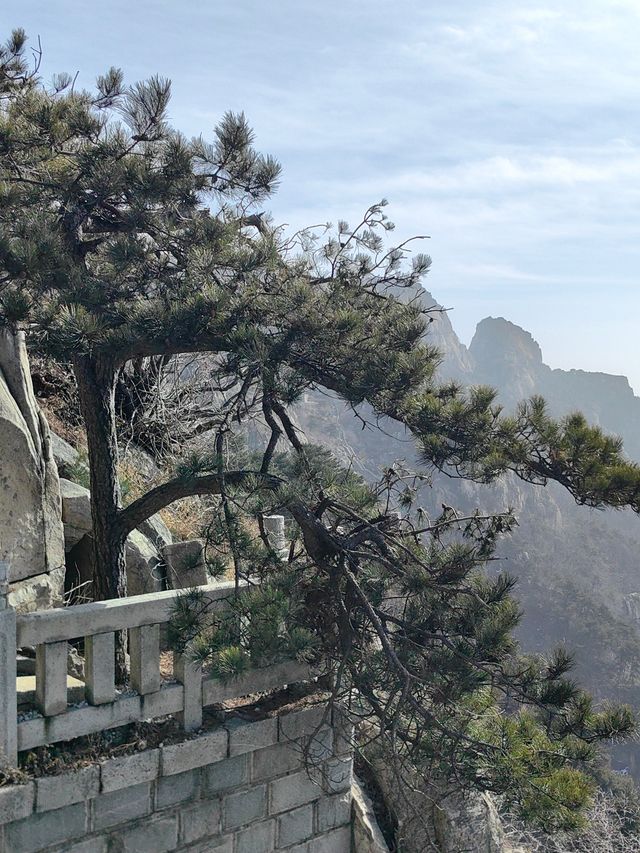 春天就要上春山 | 東嶽泰山~~省體力遊覽攻略