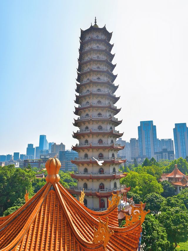 福州西禪寺｜鬧市中的千年古剎