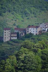 行安山古道住馬放瀾山