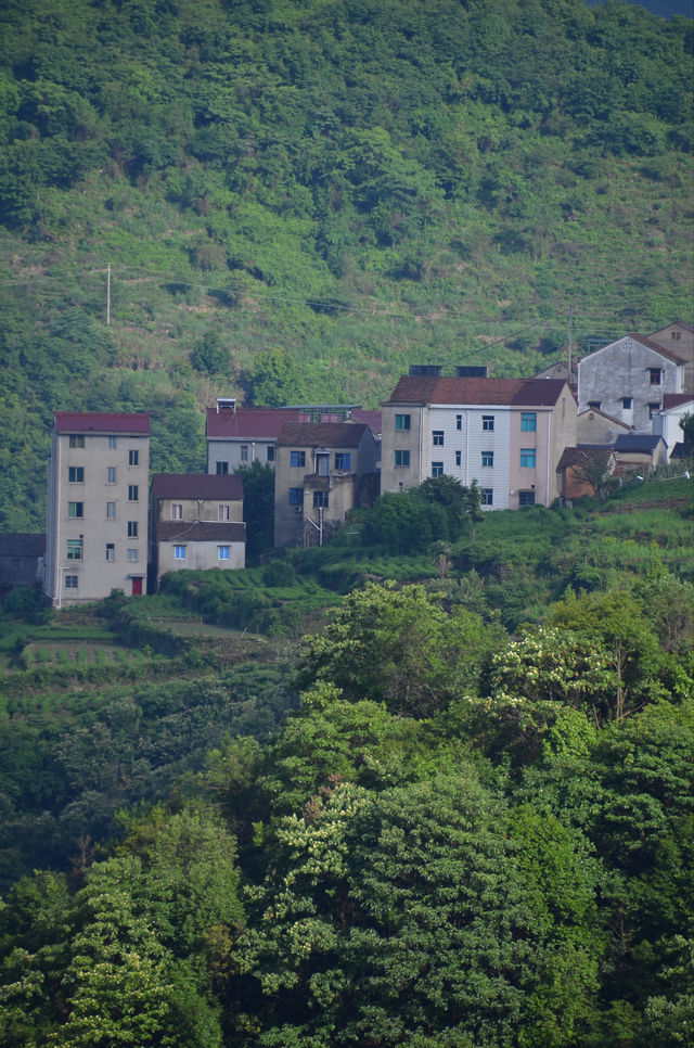 行安山古道住馬放瀾山