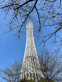 清明2日遊 暢遊廣州賞花攻略