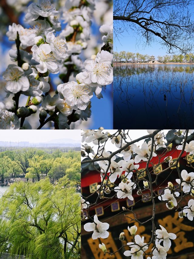 看見好時光~~《頤和園》