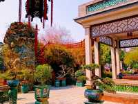 3 Days in Bustling Vivid Dongguan: Itinerary for Non-Stop Explorers