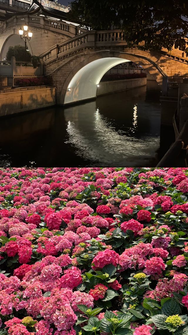 《落雨大，水浸街——我的廣州記憶裏全是腸粉和溫柔》