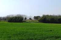 2025年去杭州良渚古城遺址公園全家遊！