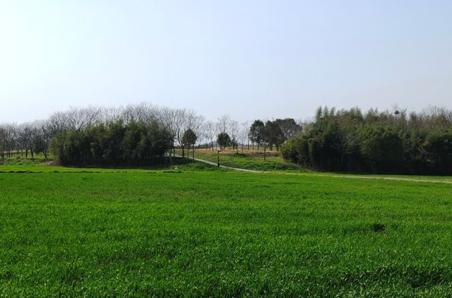 2025年去杭州良渚古城遺址公園全家遊！