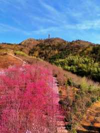 探索冶父山：追尋山林間的古韻遺風