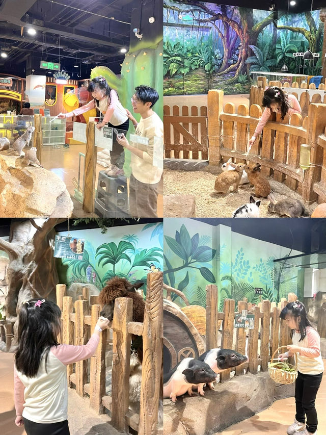 懶人必備！兩天一夜躺平式遛娃攻略📍江門版