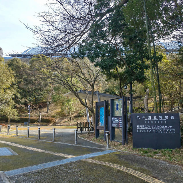 九州國立博物館深度遊🏛️