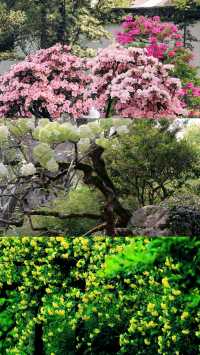 4月旅行天花板！這5條路線美到詞窮！
