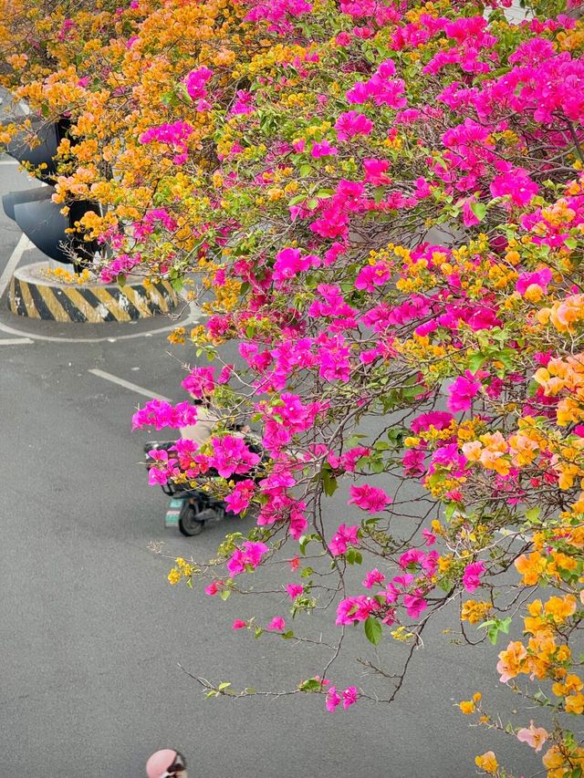 泉州3天2夜精華攻略