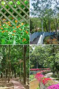 人少好拍在廣州我想去無數次的寶藏公園