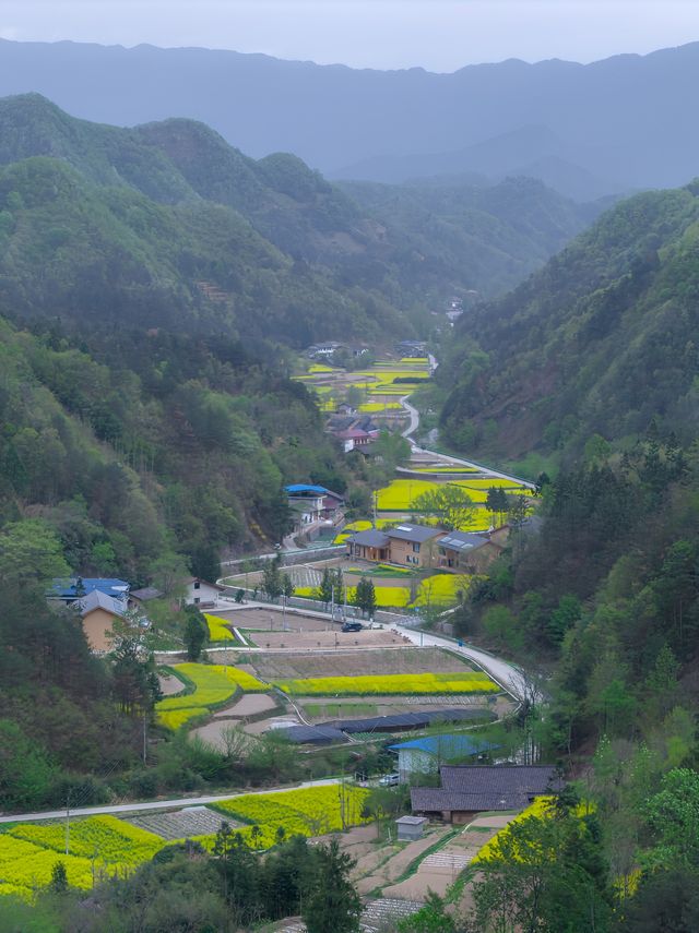 陝南新開山野民宿，人均200＋，五一必衝